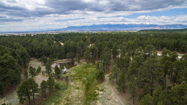 North American Van Lines Agent in Black Forest, CO