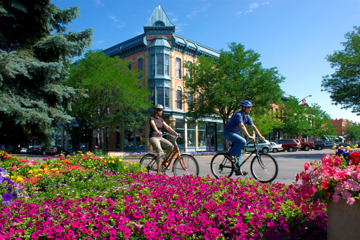 Moving Companies in Fort Collins, CO & Surrrounding Colorado Areas